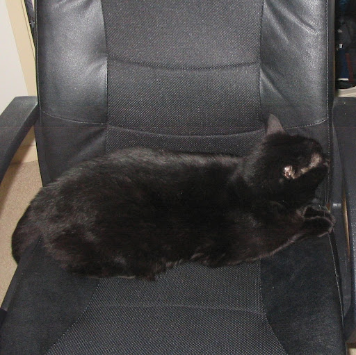 Elaine Mcdonald Photo 16