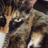 Judith Barr Photo 15