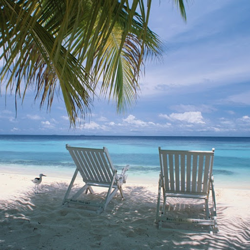 Mark Haskins Photo 29