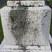 Mary Hoch Photo 11