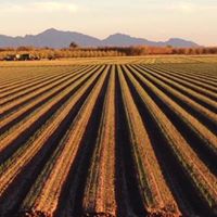 April Barron Photo 9