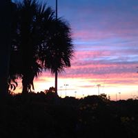 Todd Reynolds Photo 22