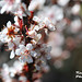 Vicky White Photo 37