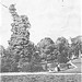 Elizabeth Trees Photo 4
