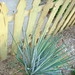 Sandi Marks Photo 8