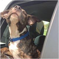 Janet Holley Photo 12