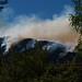Donna Sayers Photo 26