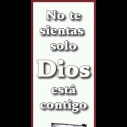 Grisel Nieves Photo 7