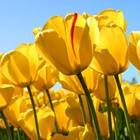 Soledad Vega Photo 11