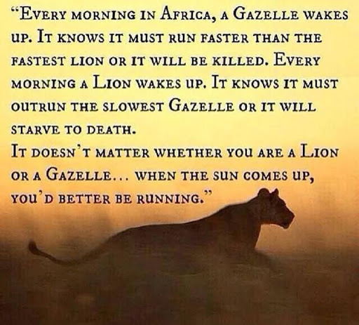 Jeff Shaffer Photo 32