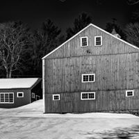 Stephen Pope Photo 27