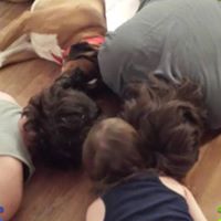 Tracy Cummins Photo 13