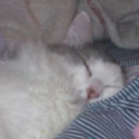 April Markham Photo 21