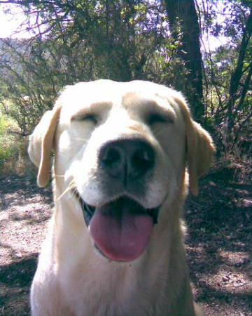 Michelle Redmond Photo 6