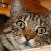 Brett Prince Photo 11