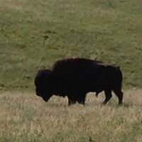 Scott Nicholson Photo 1