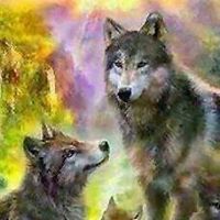 Brendan Baker Photo 33