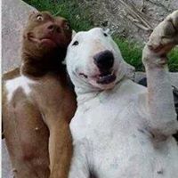 Renee Jacobsen Photo 22