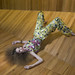 Mabel Mayer Photo 5