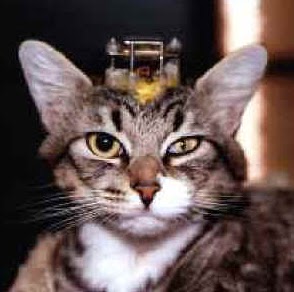 Annie Scott Photo 15