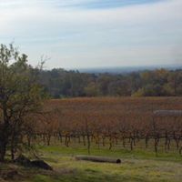 Ruth Armstrong Photo 12 Ruth Armstrong Photo 12