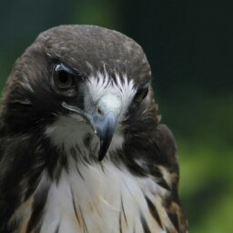 Dale Caldwell Photo 11