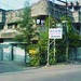 Bharat Bhushan Photo 33