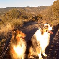 Cynthia Blanton Photo 16