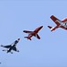 Angel Falcon Photo 34