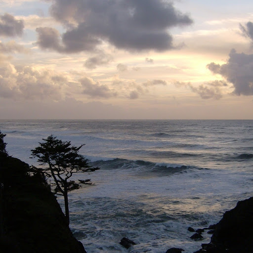 Sharon Bass Photo 17