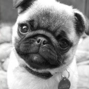 Cynthia Cano Photo 13