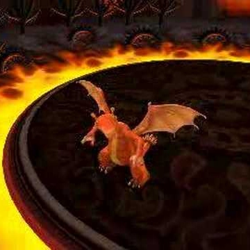 Mike Swartz Photo 20