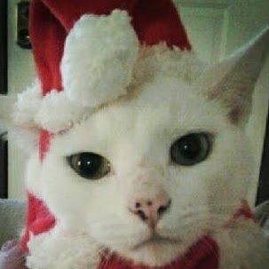 Laura Henning Photo 11