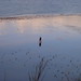 Maureen Hickey Photo 13