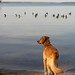 Brandy Lake Photo 23