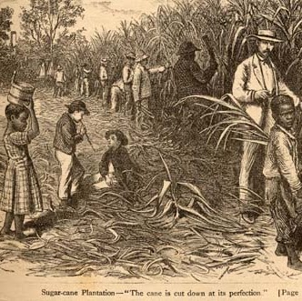 Marsha Lawrence Photo 16