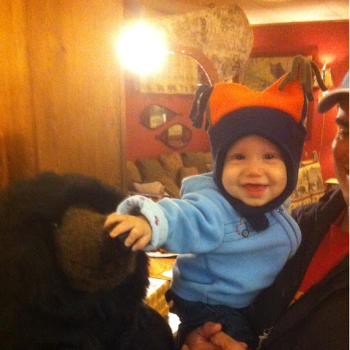 Dana Nicoletta Photo 1