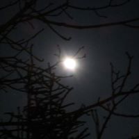 Melanie Steinbach Photo 14