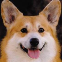 Mike Tindall Photo 25