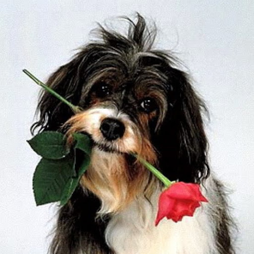 Efrain Guzman Photo 20