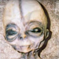 Mitchell Lind Photo 4