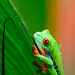 Tad Sharp Photo 15