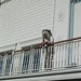 Gary Capps Photo 32