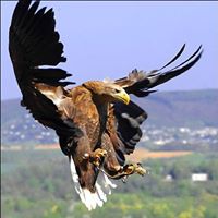 Steven Dooley Photo 40
