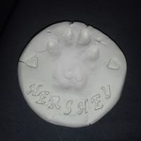 Doreen Johnson Photo 31