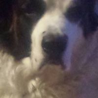 Deborah Orozco Photo 11