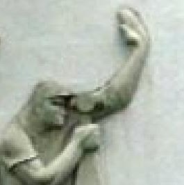 Robin Lopez Photo 12