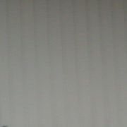 Helen Sanders Photo 17