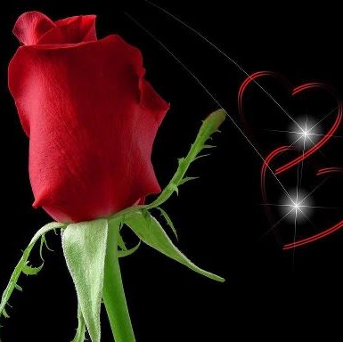 Geneva Roberson Photo 8