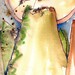 Joy Hawks Photo 10